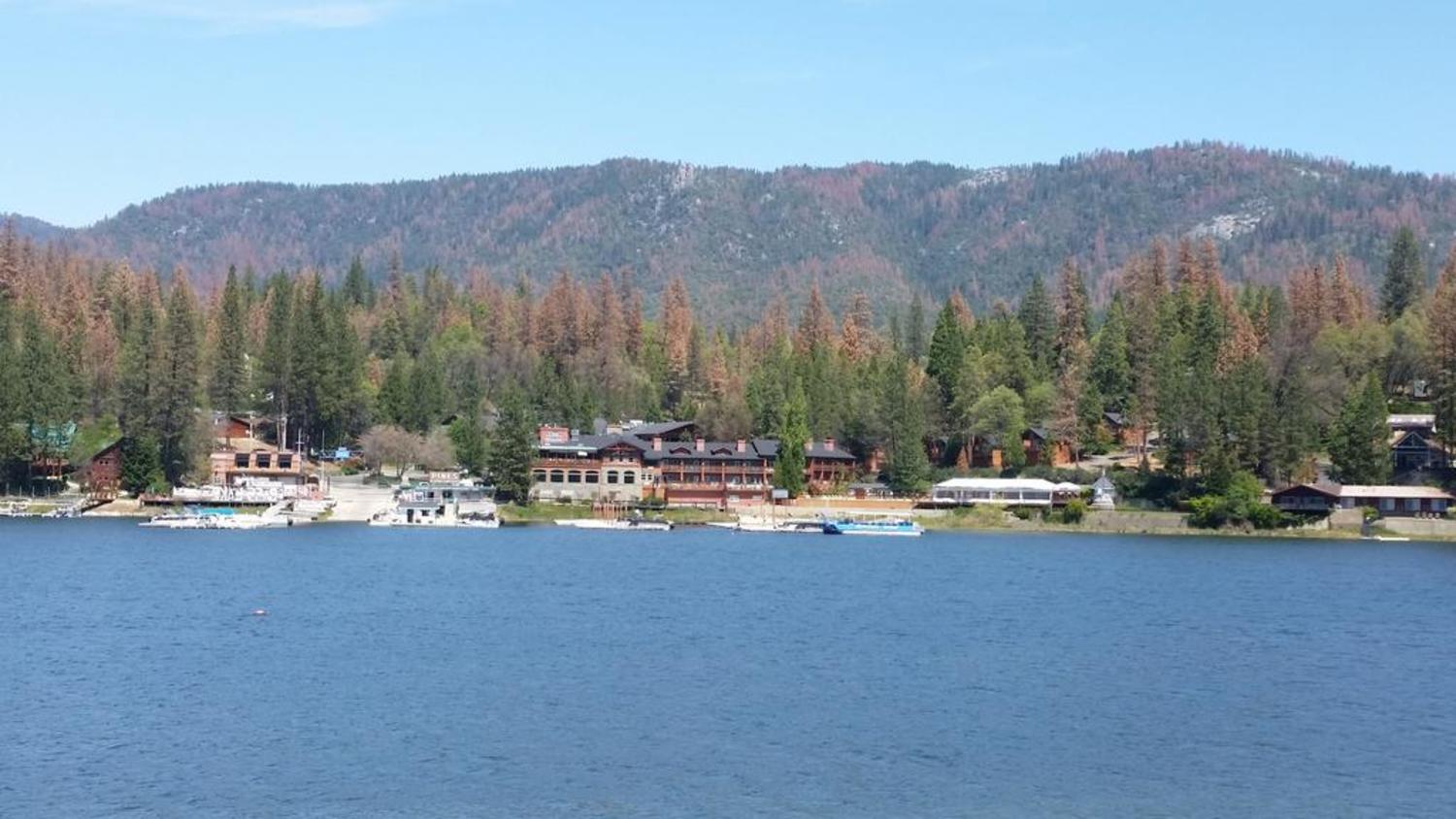 The Pines Resort & Conference Center Bass Lake Eksteriør bilde